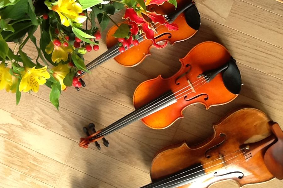 慣れたら３分でできる！ヴァイオリンの弦の張り替えをマスターしようイメージ画像